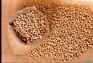 Soja de qualidade em grãos no atacado para mercado interno e exportação
