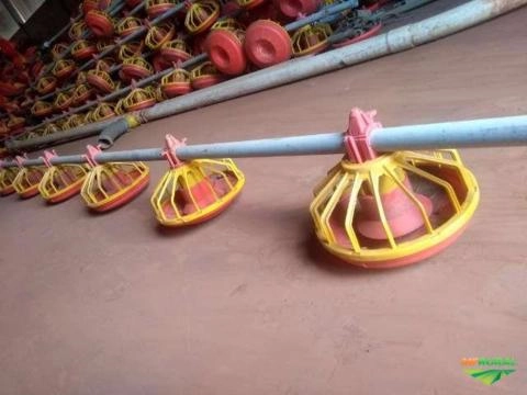 Imagem Equipamentos granja de frango Imagem Equipamentos granja de frango