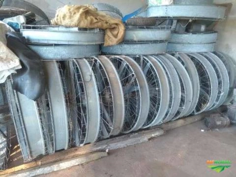 Imagem Equipamentos granja de frango Imagem Equipamentos granja de frango