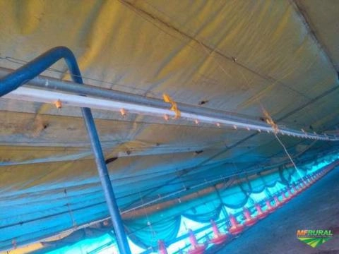 Imagem Equipamentos granja de frango Imagem Equipamentos granja de frango