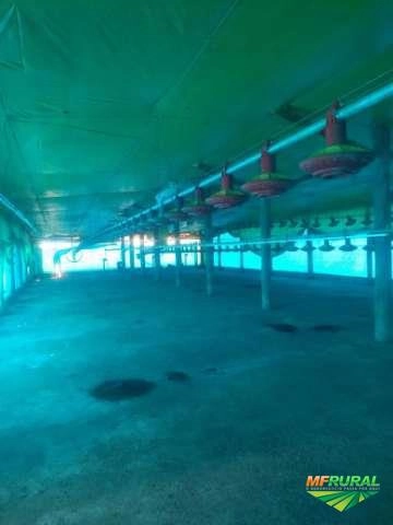 Imagem Equipamentos granja de frango Imagem Equipamentos granja de frango