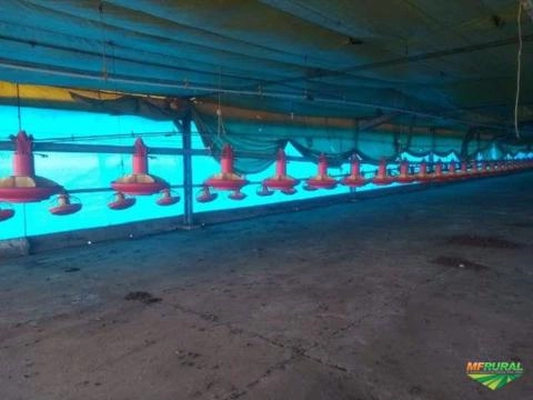 Imagem Equipamentos granja de frango Imagem Equipamentos granja de frango