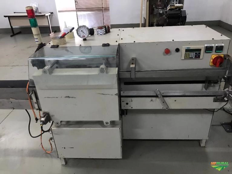 Empacotadora vacuo semi automatica Imagem Empacotadora vacuo semi automatica