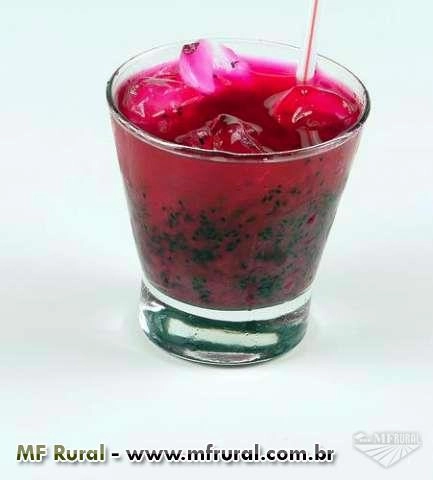 Imagem Pitaya da Nicarágua Imagem Pitaya da Nicarágua