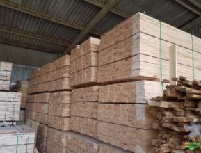 Compra de madeira aparelhada seca aplainada eucalipto