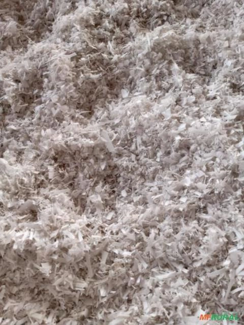 Mão de obra Imagem Mão de obra