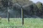 Sistemas de Irrigação