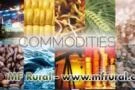 Soja e Commodities para Exportação