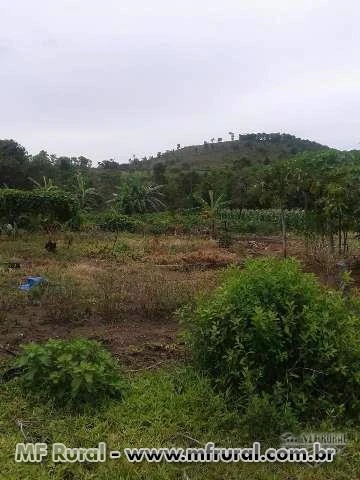 FAZENDA EM CAIAPÔNIA - GOIAS, 8 ALQUEIRES ( 39 HECTARES )