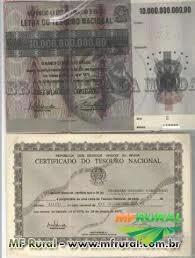 letra do tesouro nacional serie z