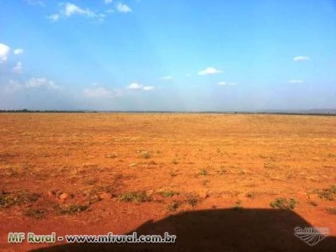 FAZENDA ESPETACULAR MEIO NORTE DO MATO GROSSO PARA LAVOURA ESPETACULAR