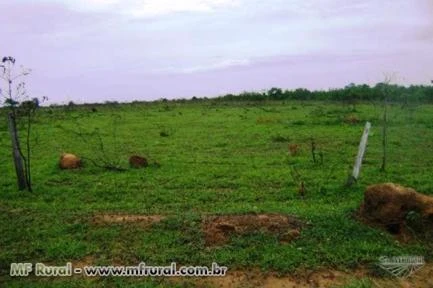 ARRENDAMENTO PARA PLANTIO DE SOJA MATO GROSSO , FAZENDA ESPETACULAR OTIMO LOCAL