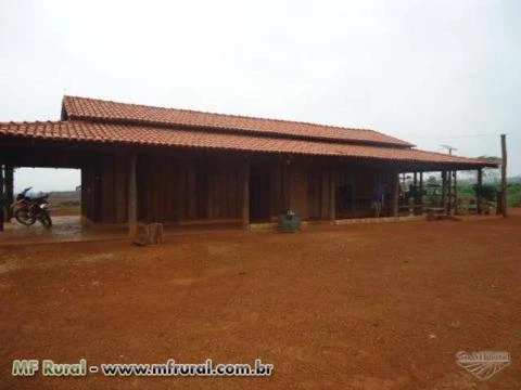 FAZENDA SAO FELIX DO XINGU , ESPETACULAR PROMOÇAO TOP MONTADA BARATA.COM GEO OK