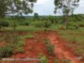 FAZENDA ESPETACULAR EM GOIAS PARA AGRICULTURA E PECUARIA REGIAO DE SAFRINHA