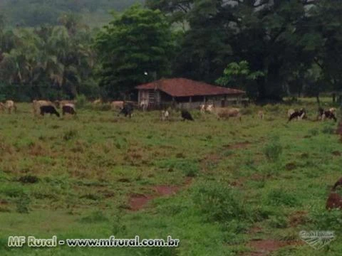 FAZENDA ESPETACULAR EM GOIAS PARA AGRICULTURA E PECUARIA REGIAO DE SAFRINHA