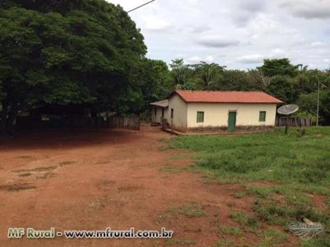 FAZENDA ESPETACULAR EM GOIAS PARA AGRICULTURA E PECUARIA REGIAO DE SAFRINHA