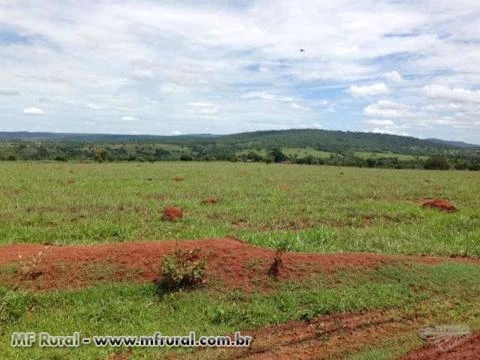 FAZENDA ESPETACULAR EM GOIAS PARA AGRICULTURA E PECUARIA REGIAO DE SAFRINHA