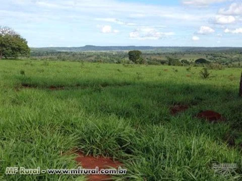 FAZENDA ESPETACULAR EM GOIAS PARA AGRICULTURA E PECUARIA REGIAO DE SAFRINHA