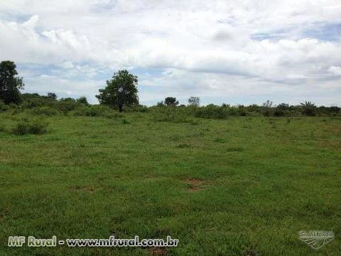 FAZENDA ESPETACULAR EM GOIAS PARA AGRICULTURA E PECUARIA REGIAO DE SAFRINHA