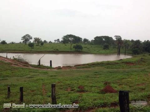 FAZENDA ESPETACULAR EM GOIAS PARA AGRICULTURA E PECUARIA REGIAO DE SAFRINHA