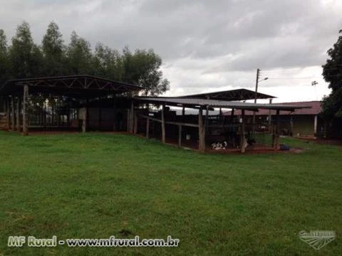 FAZENDA ESPETACULAR EM GOIAS PARA AGRICULTURA E PECUARIA REGIAO DE SAFRINHA