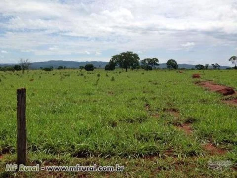 FAZENDA ESPETACULAR EM GOIAS PARA AGRICULTURA E PECUARIA REGIAO DE SAFRINHA