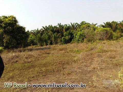 FAZENDA VILA RICA XINGU DOCUMENTAÇAO OK COM GEO BARATA E BOA OPORTUNIDADE