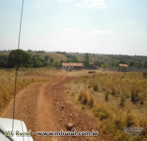 FAZENDA EM ARAGUAÇU PLANA MUITO BOA FORMADA OPORTUNIDADE UNICA