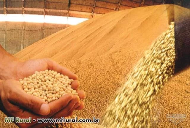 ARRENDAMENTO PARA  SOJA TOCANTINS REGIAO ESPETACULAR PARA SOJA MILHO SORGO SAFRINHA , OPORTUNIDADE