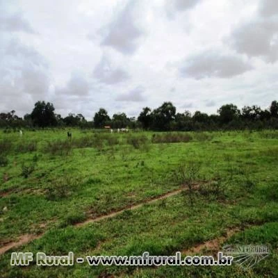 FAZENDA ESPETACULAR TRES LAGOAS MATO GROSSO DO SUL OPORTUNIDADE UNICA 742 HECTARES OPORTUNIDADE UNIC