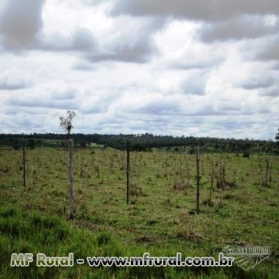 FAZENDA ESPETACULAR TRES LAGOAS MATO GROSSO DO SUL OPORTUNIDADE UNICA 742 HECTARES OPORTUNIDADE UNIC