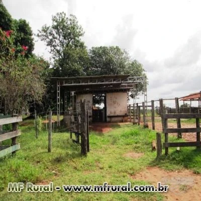 FAZENDA ESPETACULAR TRES LAGOAS MATO GROSSO DO SUL OPORTUNIDADE UNICA 742 HECTARES OPORTUNIDADE UNIC