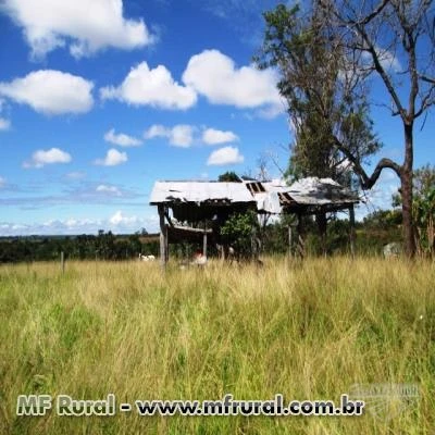 FAZENDA ESPETACULAR TRES LAGOAS MATO GROSSO DO SUL OPORTUNIDADE UNICA 742 HECTARES OPORTUNIDADE UNIC