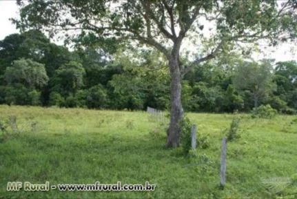 FAZENDA ESPETACULAR PROXIMA A CUIABA , OPORTUNIDADE UNICA FAZENDA MONTADA , O MELHOR INVESTIMENTO