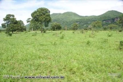 FAZENDA ESPETACULAR PROXIMA A CUIABA , OPORTUNIDADE UNICA FAZENDA MONTADA , O MELHOR INVESTIMENTO