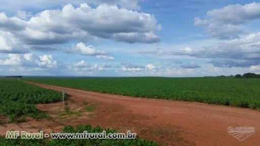 FAZENDA ESPETACULAR NO MATO GROSSO PRIMAVERA DO LESTE FAZENDA MODELO PARA PRODUÇAO DE SOJA OPORTUNID