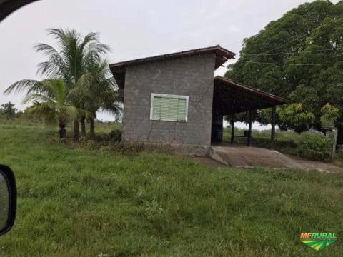 FAZENDA EM GOIAS 2070 HECTARES ARAGUAPAZ FORMADA PLANA TODA NO CORREDOR OPORTUNIDADE PECUARIA