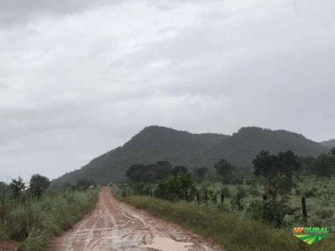 FAZENDA EM GOIAS 2070 HECTARES ARAGUAPAZ FORMADA PLANA TODA NO CORREDOR OPORTUNIDADE PECUARIA