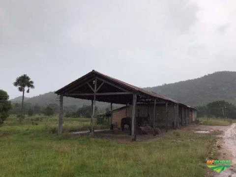 FAZENDA EM GOIAS 2070 HECTARES ARAGUAPAZ FORMADA PLANA TODA NO CORREDOR OPORTUNIDADE PECUARIA