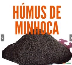 Húmus  De Minhoca Gigante Africana