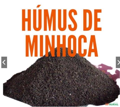 Húmus  De Minhoca Gigante Africana Imagem Húmus  De Minhoca Gigante Africana