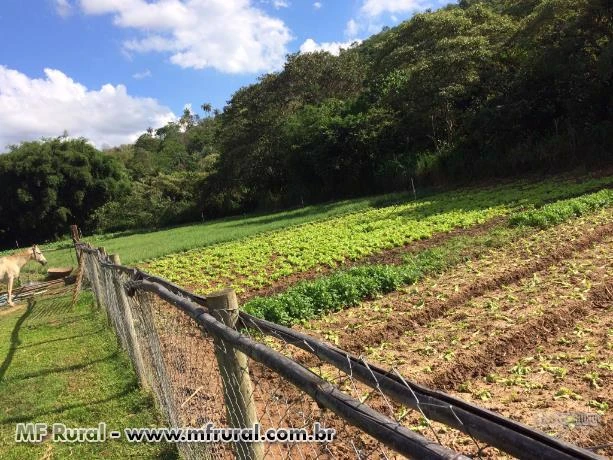 Sitio de 5 hectares em Sabara - MG