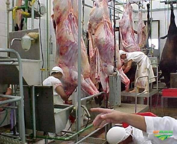 Frigorifico - procuro para arrrendar Imagem Frigorifico - procuro para arrrendar