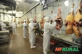 Imagem Frigorifico - procuro para arrrendar Imagem Frigorifico - procuro para arrrendar