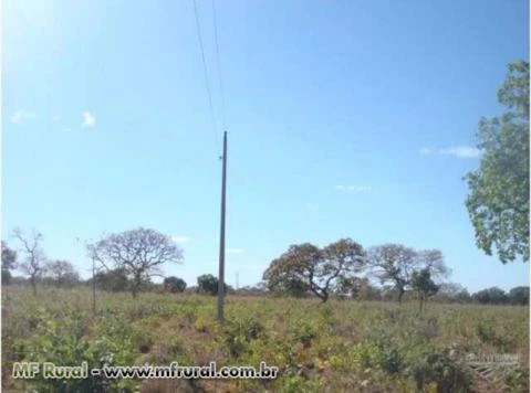 Vendo Fazenda para pecuaria ou plantio