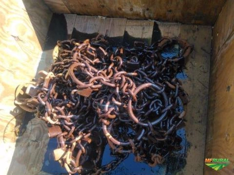 Corrente Florestal Imagem Corrente Florestal