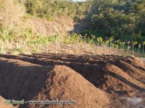 Composto Orgânico A Granel