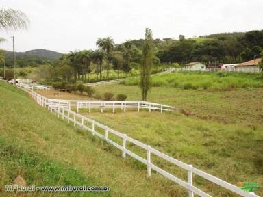 FAZENDA HARAS A VENDA - 55 hectares - REGIÃO BELO HORIZONTE (MG)