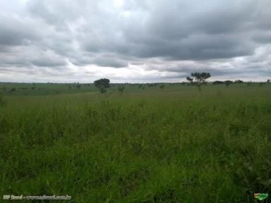 FAZENDA DE CANA-DE-AÇÚCAR - 560 hectares - LUZ (MG)