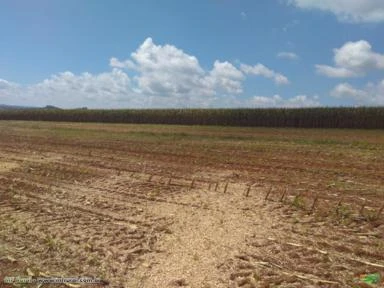 FAZENDA PECUÁRIA LEITEIRA - 190 hectares - CARRANCAS (MG)